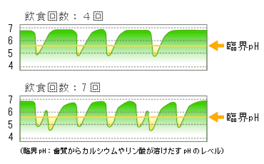 予防歯科/ステファンカーブ