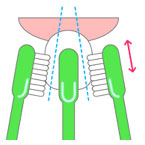予防歯科/歯磨き法