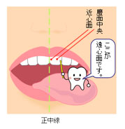 予防歯科/歯磨き法