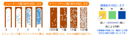 予防歯科/ミュータンス菌・ラクトバチラス菌・緩衝能判定